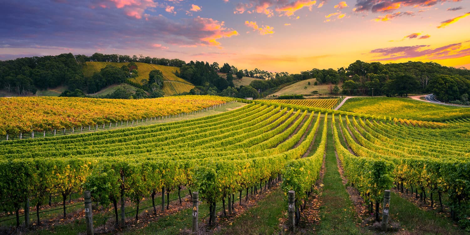 Mystery Picnic Date - Adelaide Hills