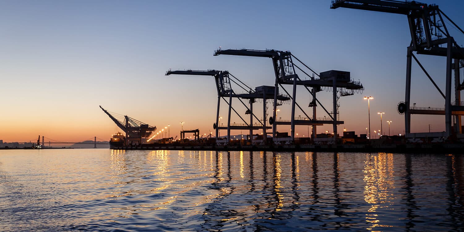 Mystery Picnic With Friends - Alameda