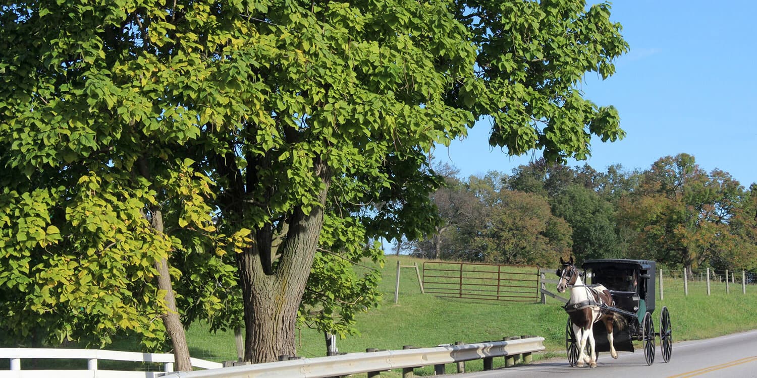 Mystery Picnic Date - Amish Country