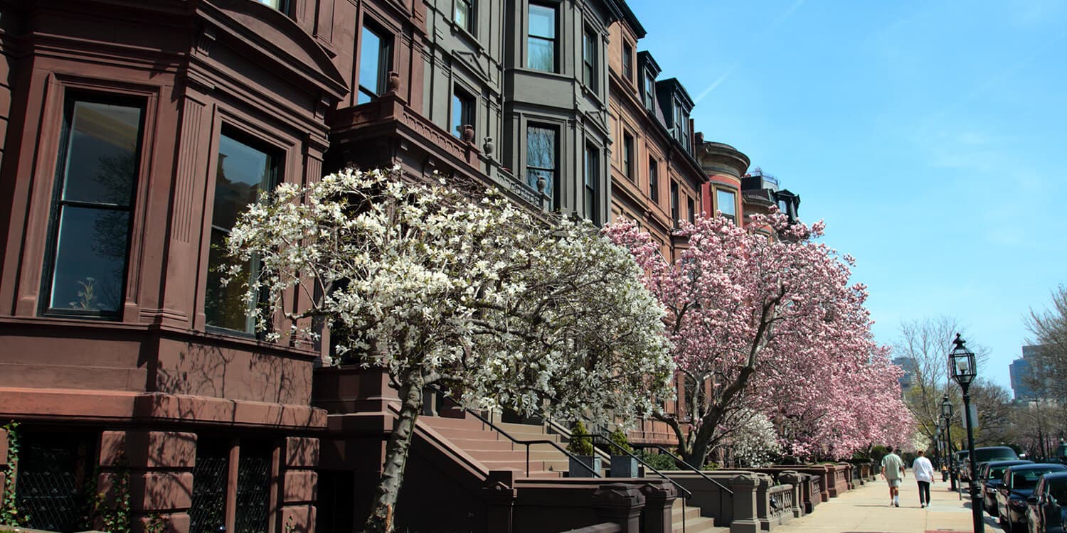 Mystery Picnic Date - Back Bay & Downtown Boston