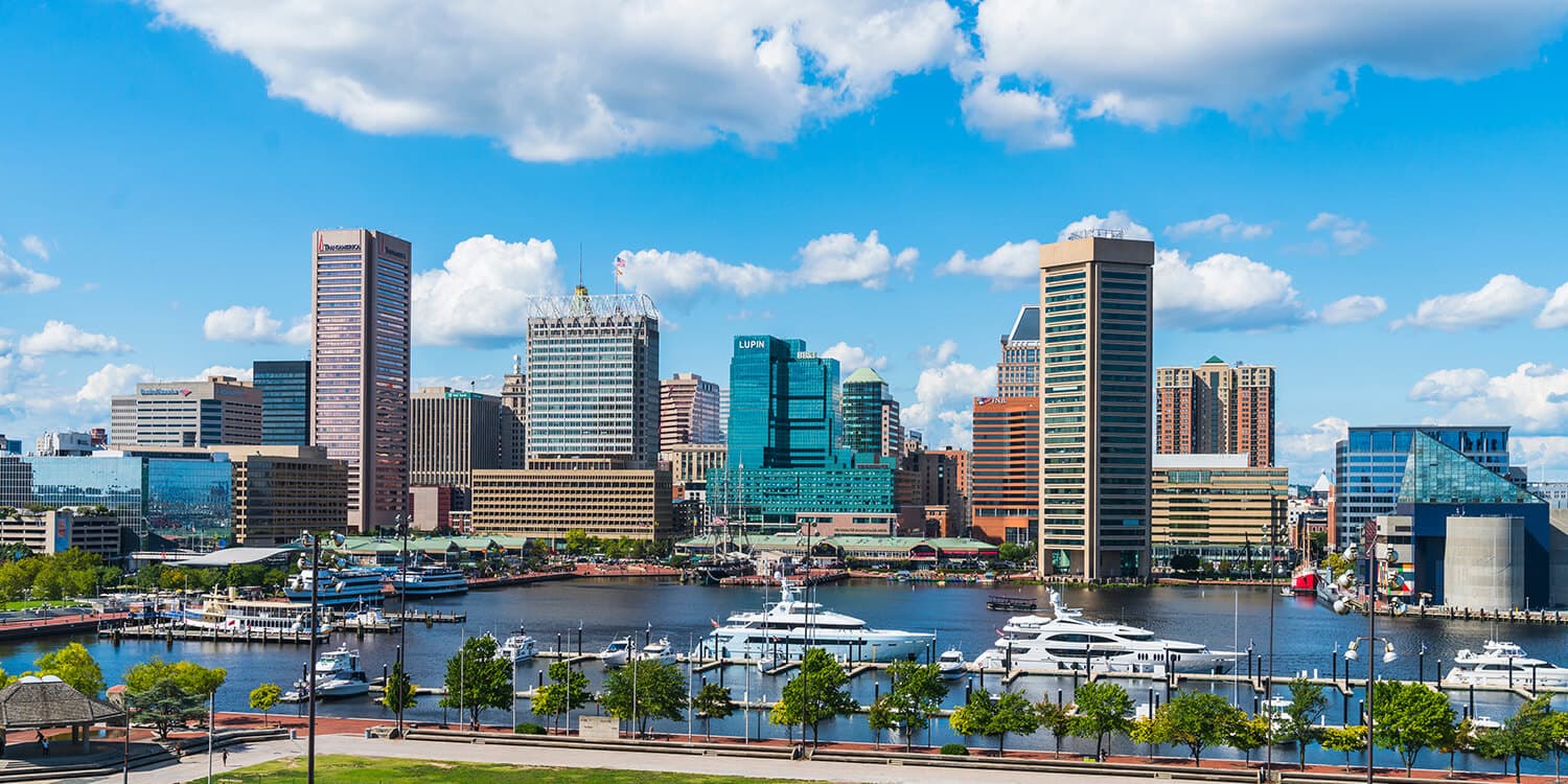 Mystery Picnic Date - Baltimore