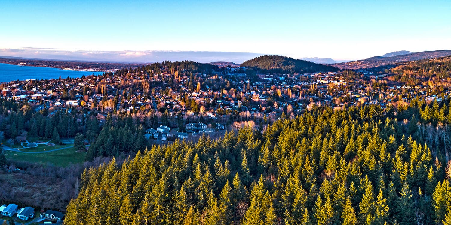Mystery Picnic Date - Bellingham
