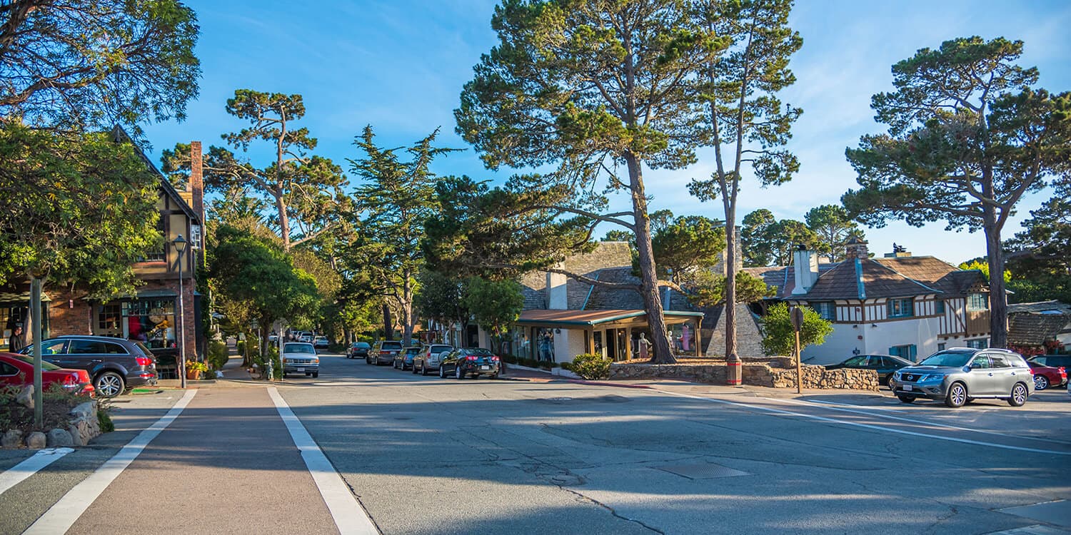Mystery Picnic Date - Carmel-By-The-Sea