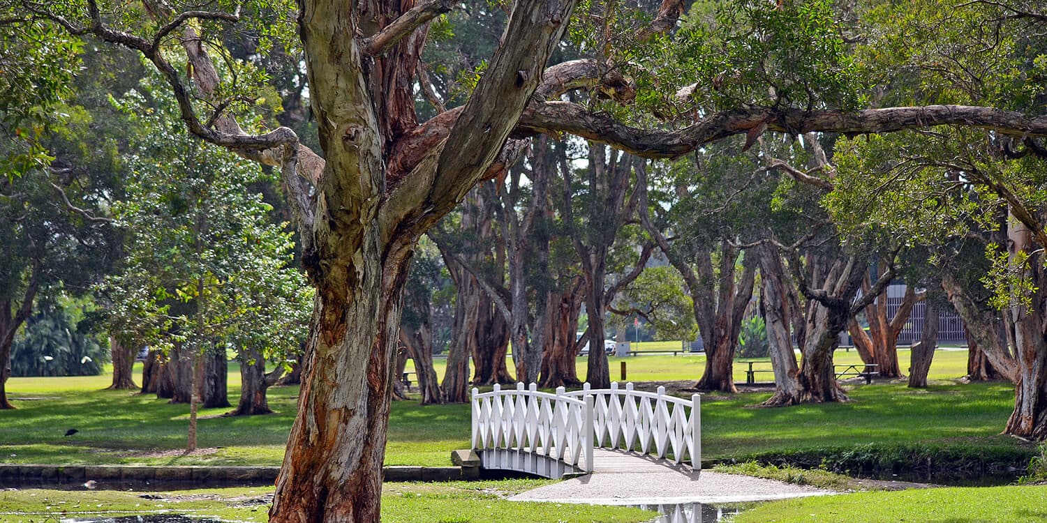 Mystery Picnic Date - Centennial Park