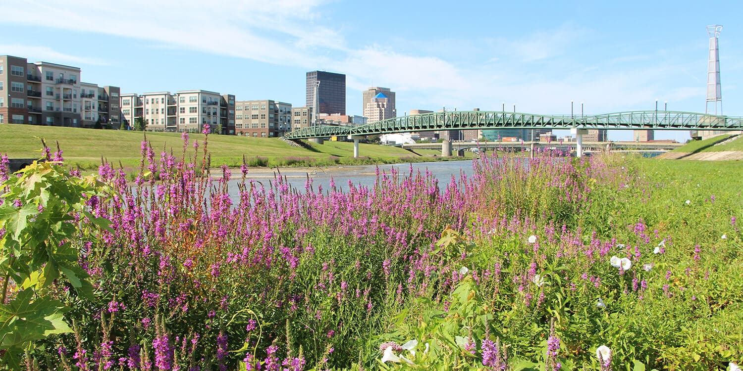 Family Mystery Picnic - Dayton