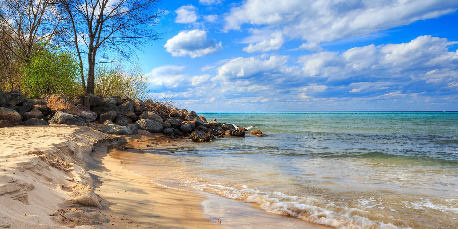 Mystery Picnic With Friends - Evanston