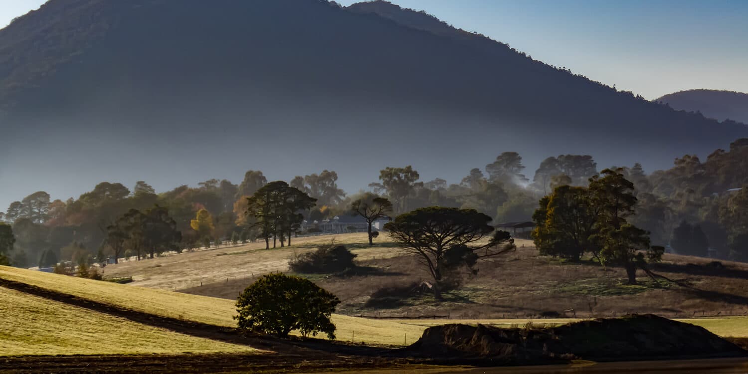 Explorer Picnic Hike - Yarra Valley