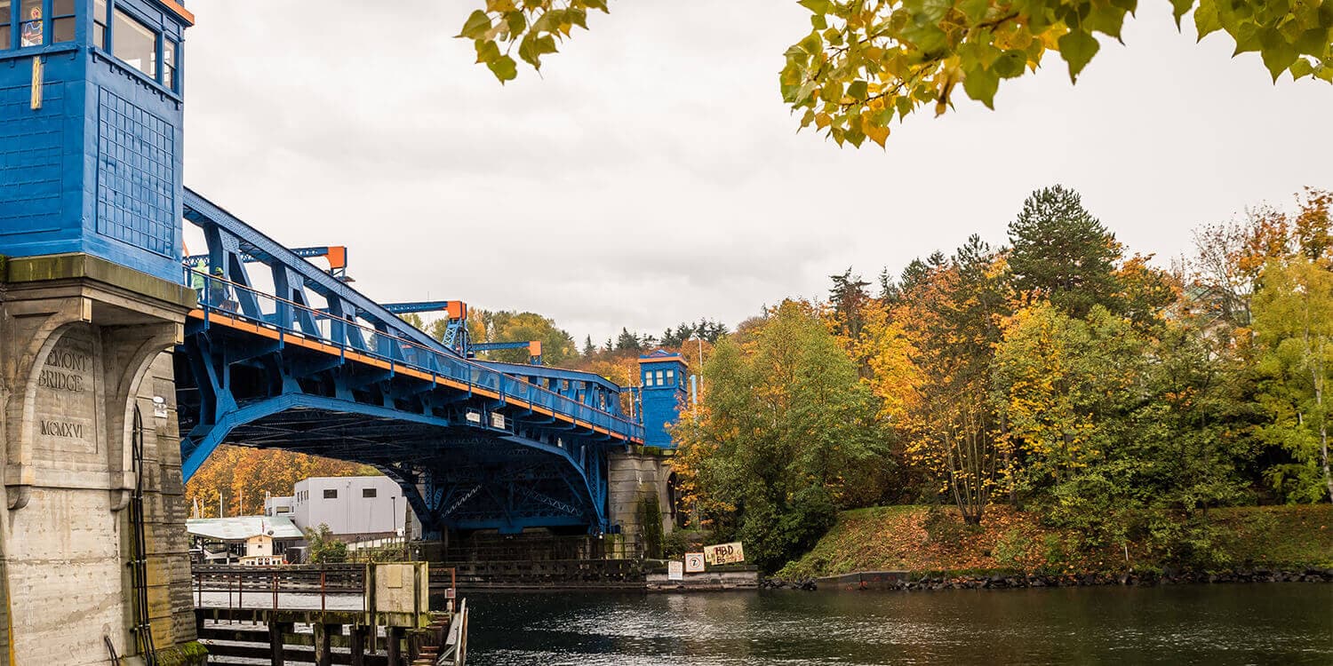 Mystery Picnic Date - Fremont