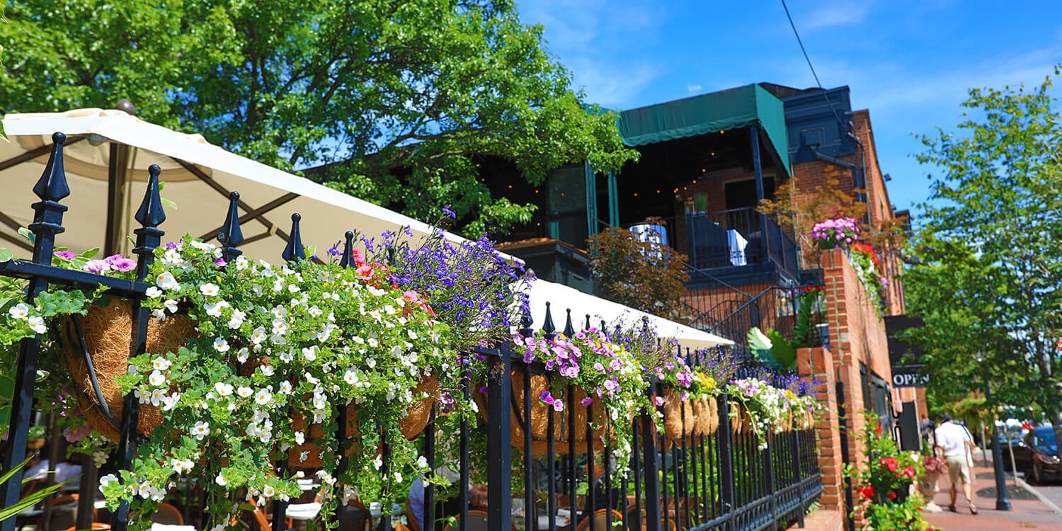 Mystery Picnic Date - German Village