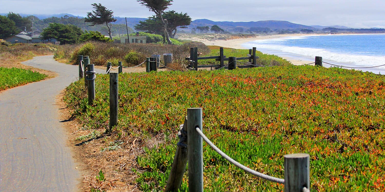 Mystery Picnic With Friends - Half Moon Bay