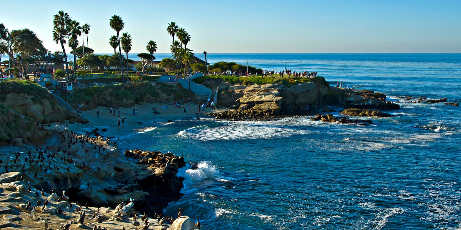 Mystery Picnic Date - La Jolla