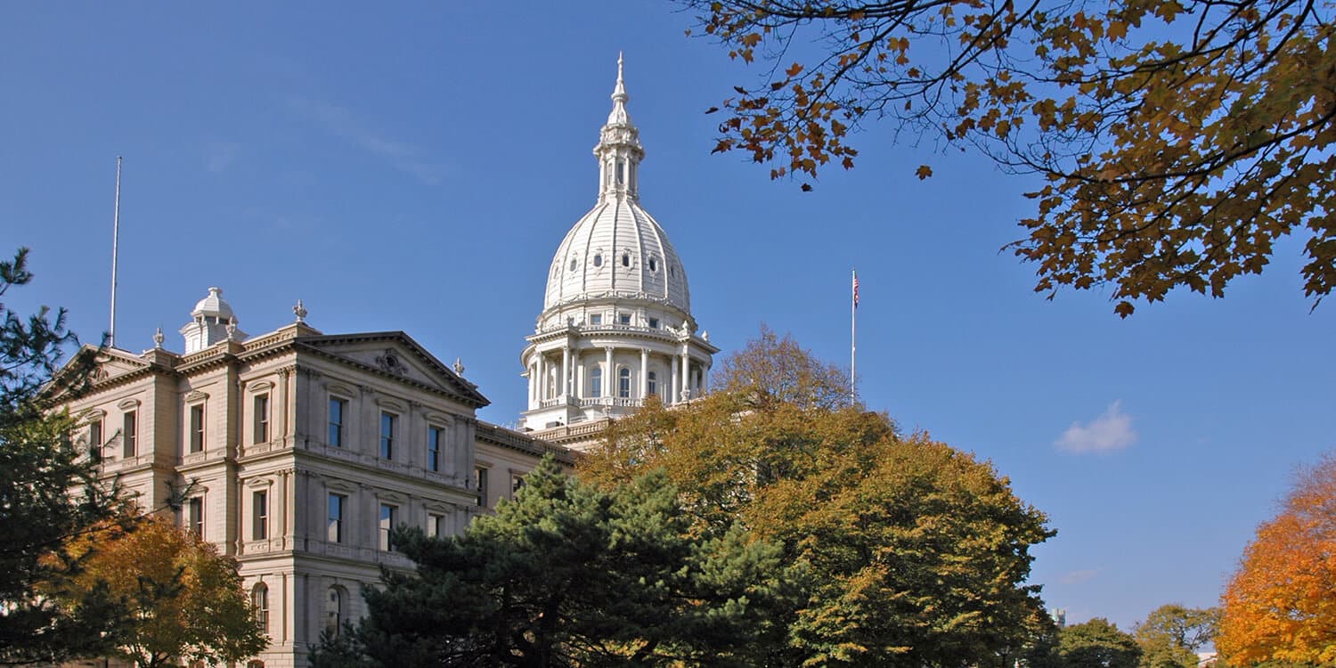 Mystery Picnic Date - Lansing