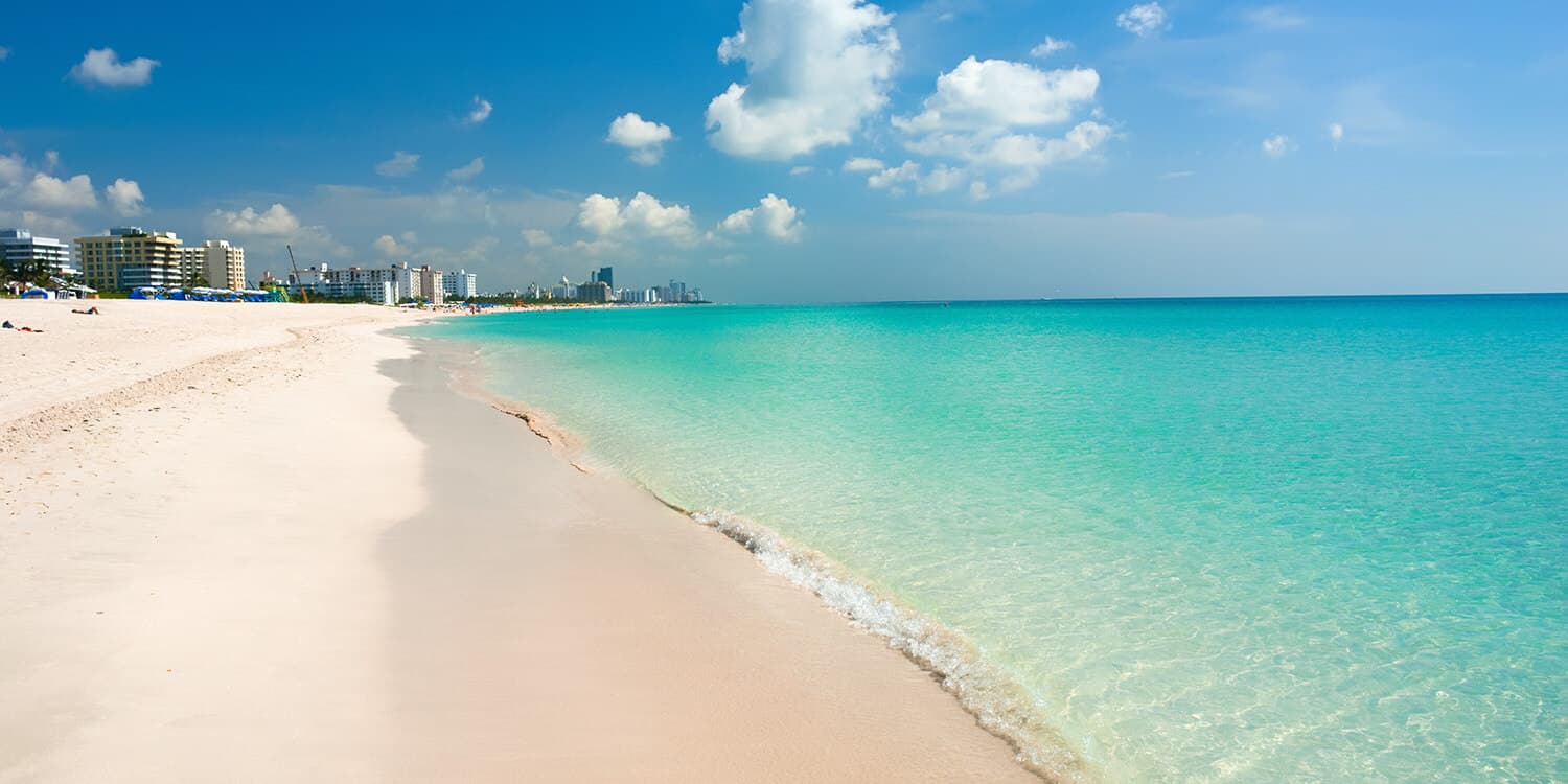 Mystery Picnic Date - Miami Beach