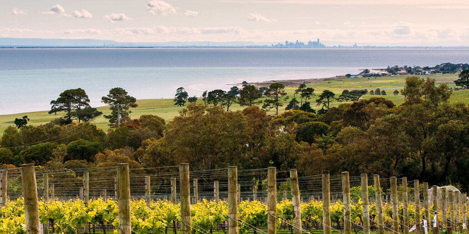 Mystery Picnic Date - Bellarine Peninsula
