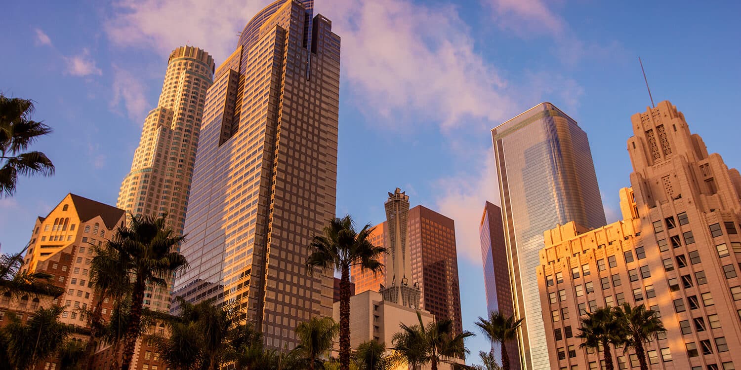 Mystery Picnic Date - Downtown L.A.