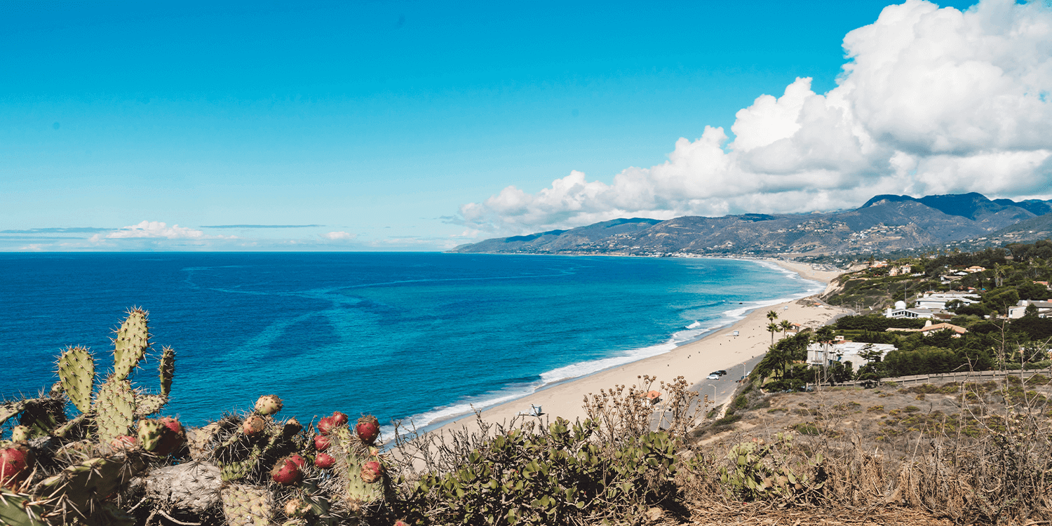 Mystery Picnic Date - Malibu