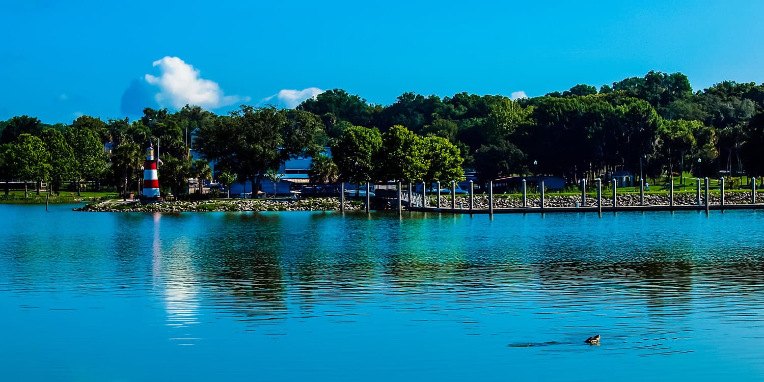 Mystery Picnic Date - Mount Dora