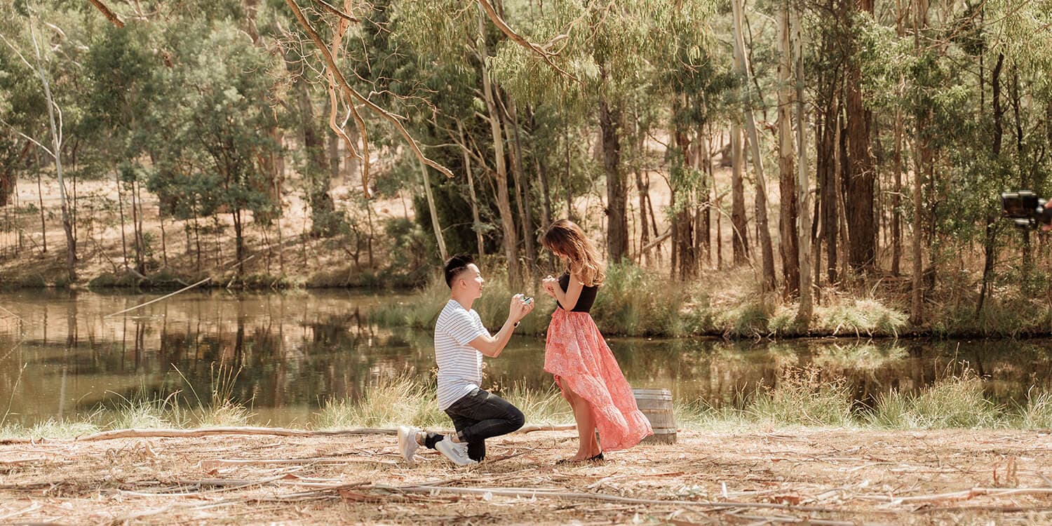 Mystery Picnic Proposal - Macedon Ranges