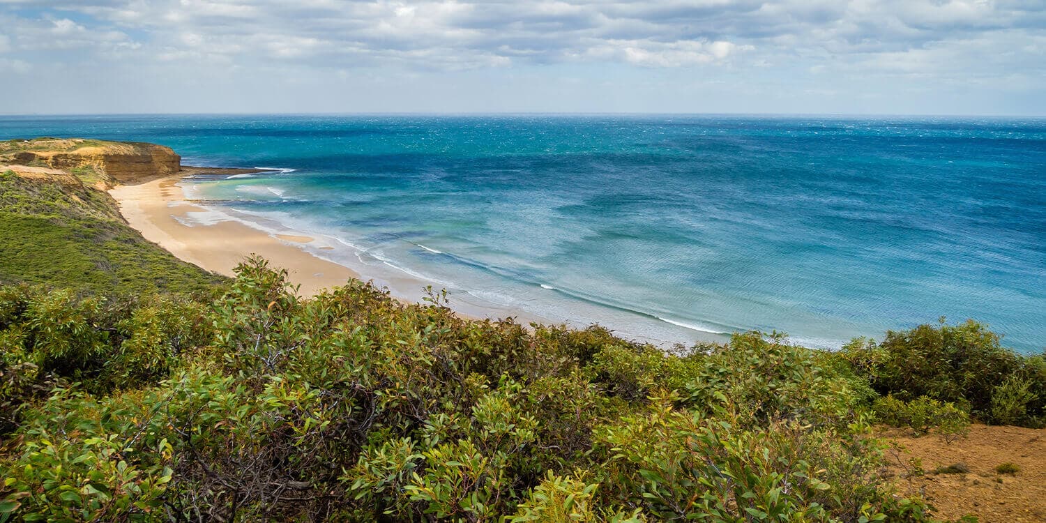 Family Mystery Picnic - Torquay