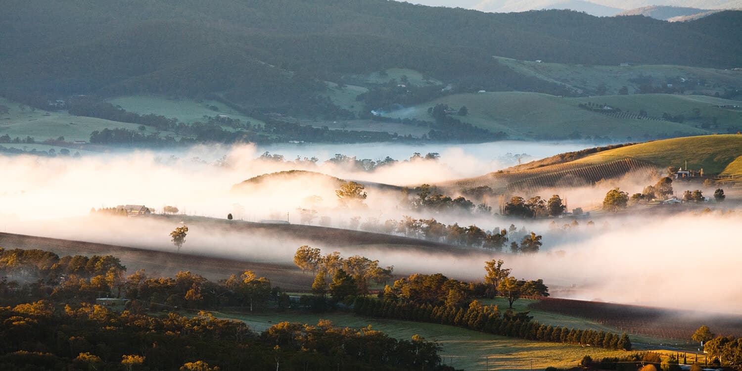 Mystery Wine Region Adventure - Yarra Valley