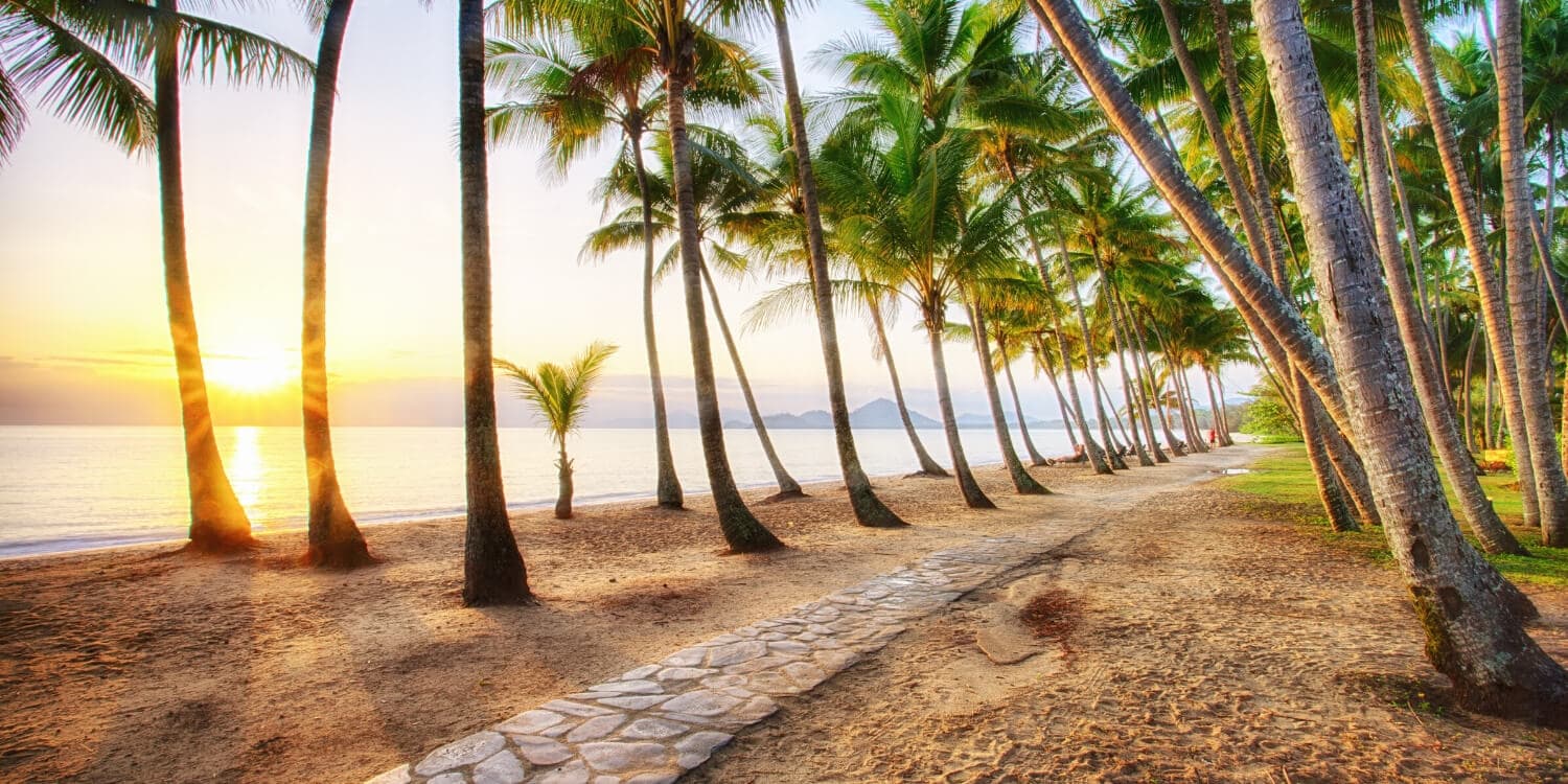 Mystery Picnic Date - Palm Cove