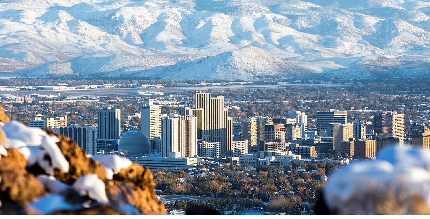 Mystery Picnic Date - Midtown Reno
