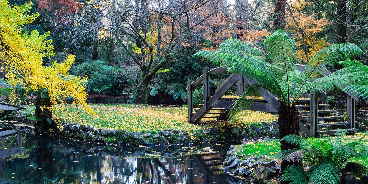 Mystery Weekend - Dandenong Ranges