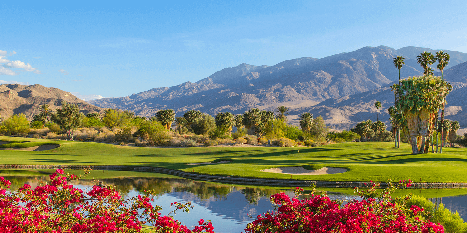Mystery Picnic - Palm Springs