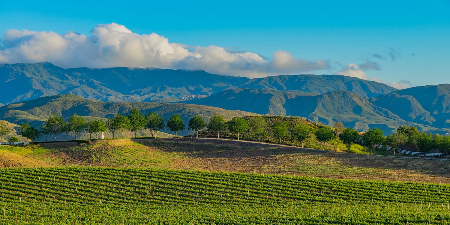 Mystery Picnic Date - Temecula Valley