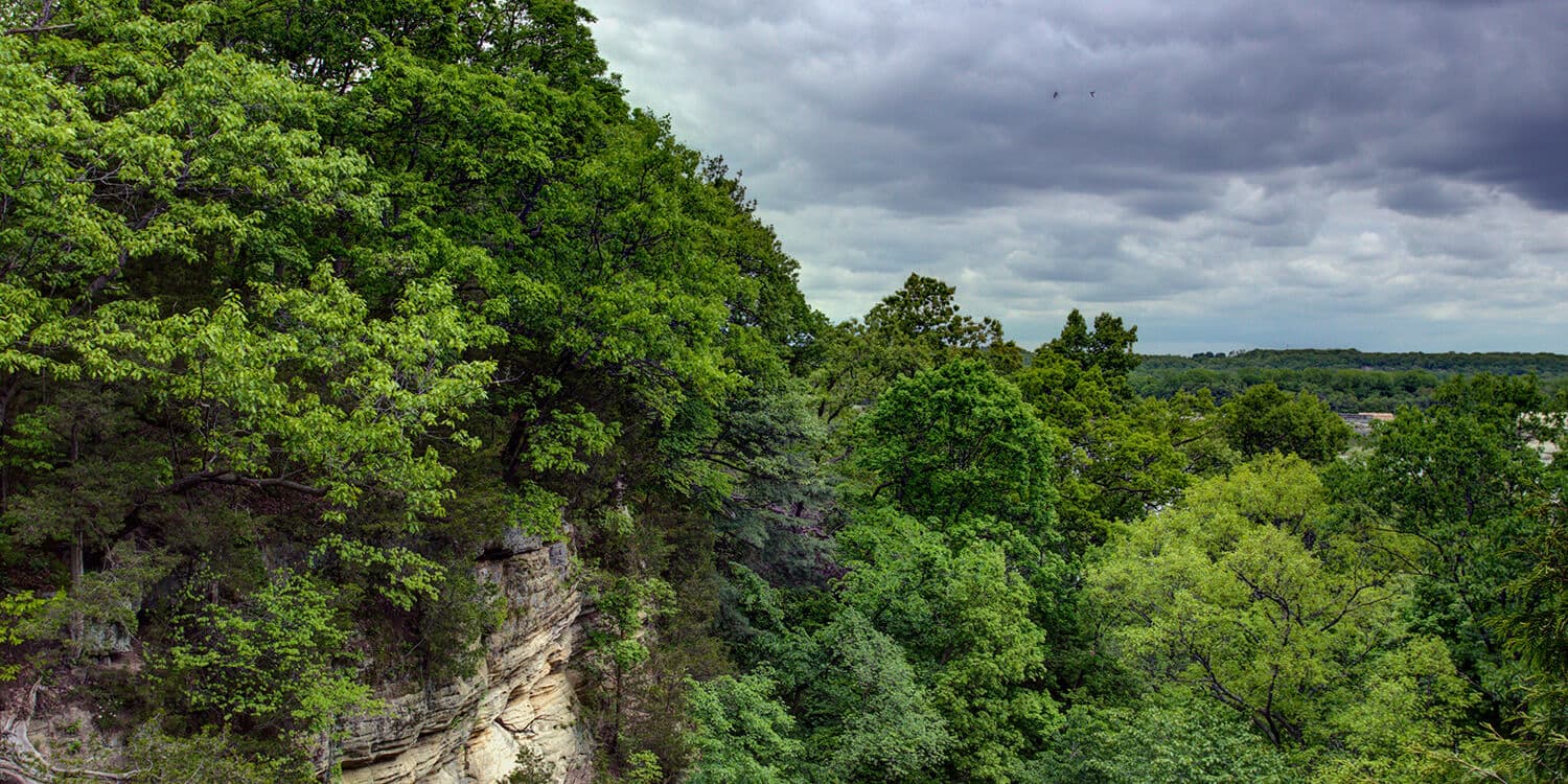 Mystery Picnic - North Utica for Guests of Staypineapple, An Iconic Hotel