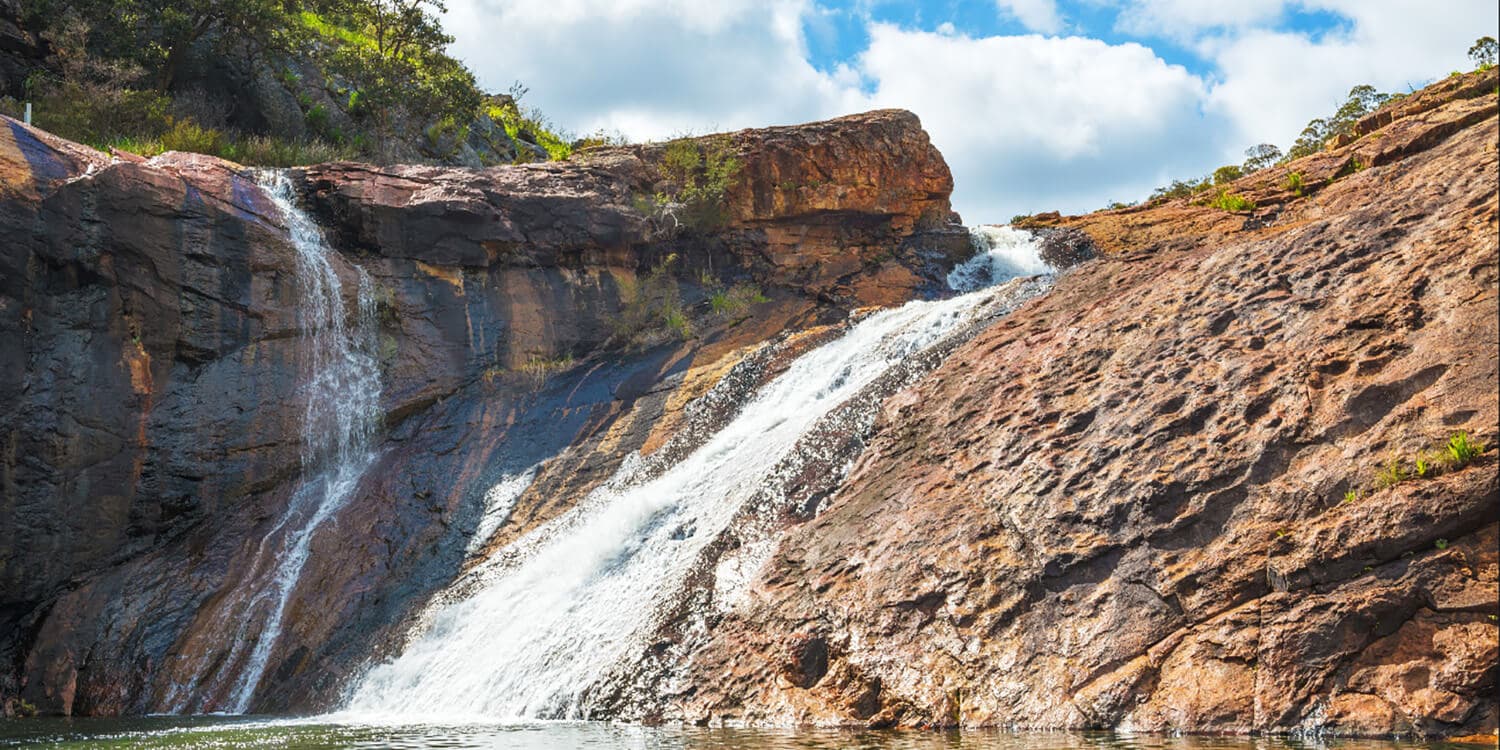 Mystery Picnic With Friends - Serpentine