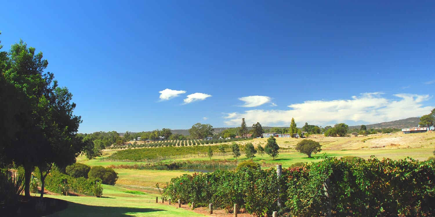 Mystery Picnic Date - Swan Valley