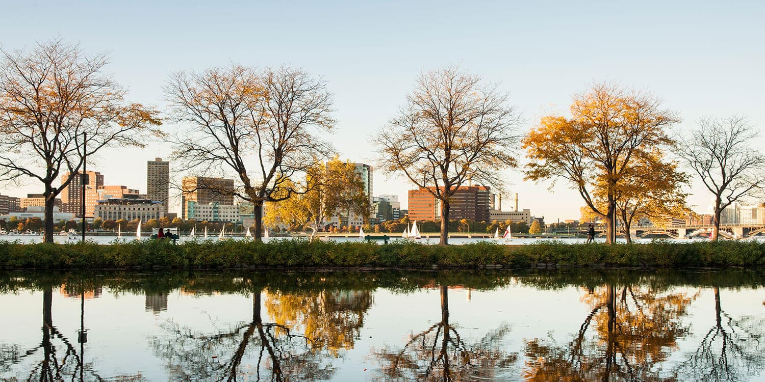 Mystery Picnic Date - Back Bay, The Revolution Hotel Exclusive