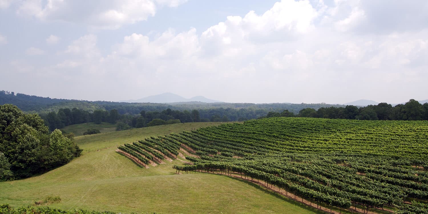 Mystery Weekend - Dahlonega