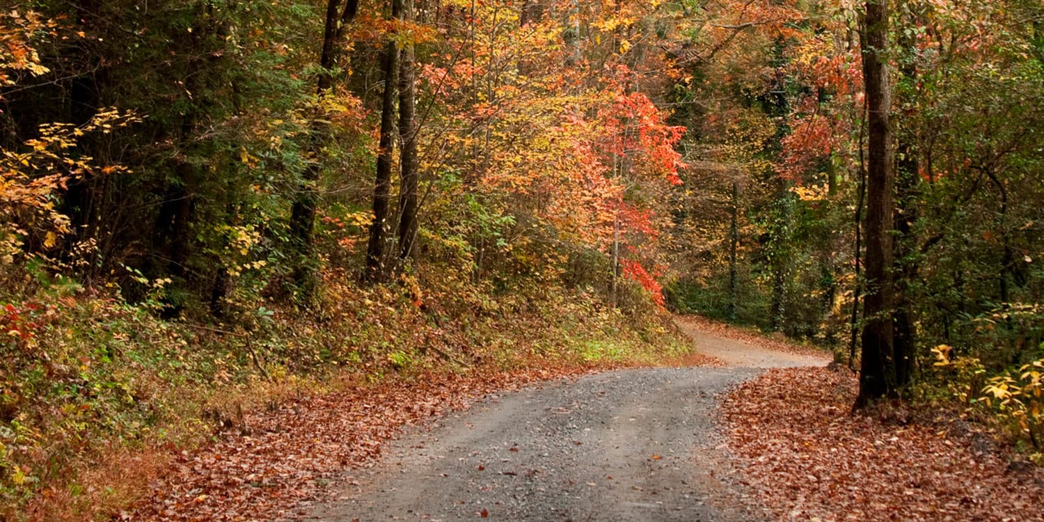 Mystery Picnic Date - Ellijay