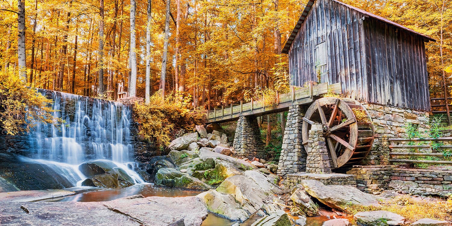 Mystery Picnic With Friends - Marietta