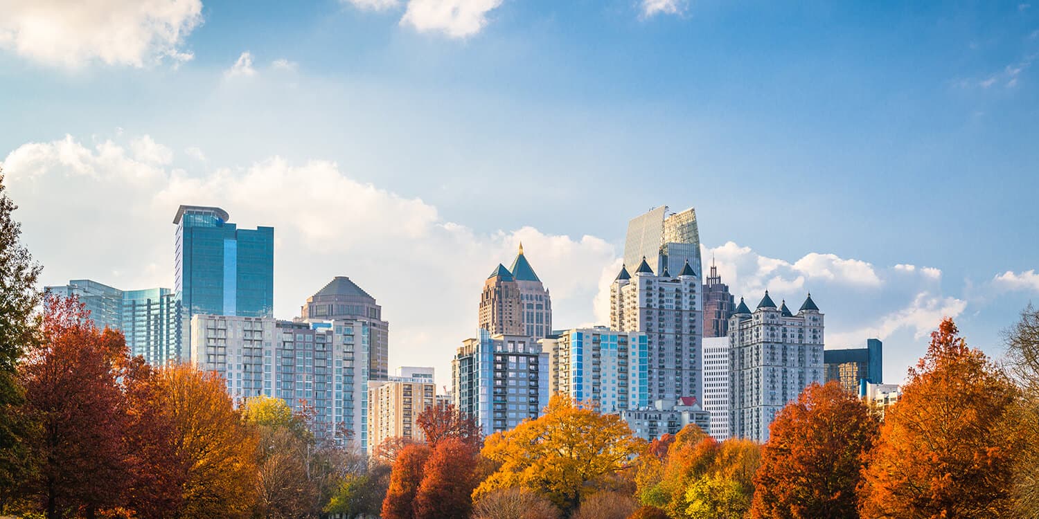 Mystery Picnic Date - Midtown Atlanta