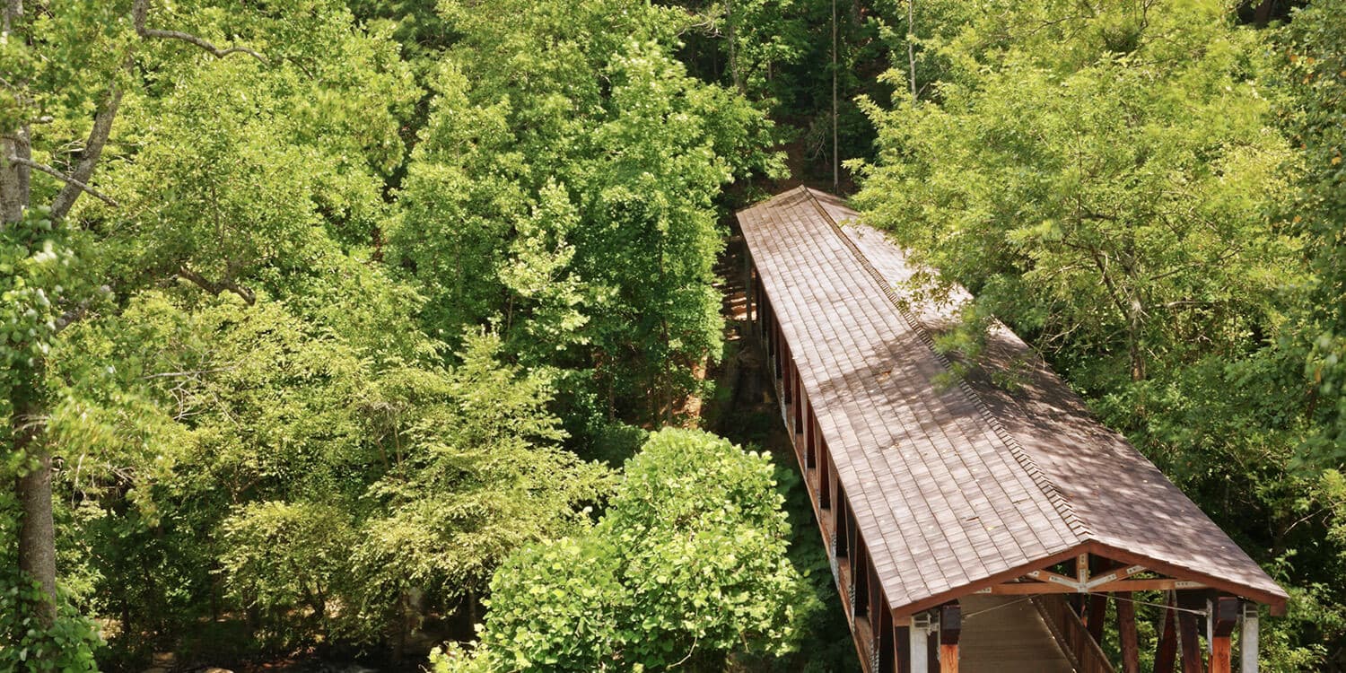 Mystery Picnic With Friends - Roswell