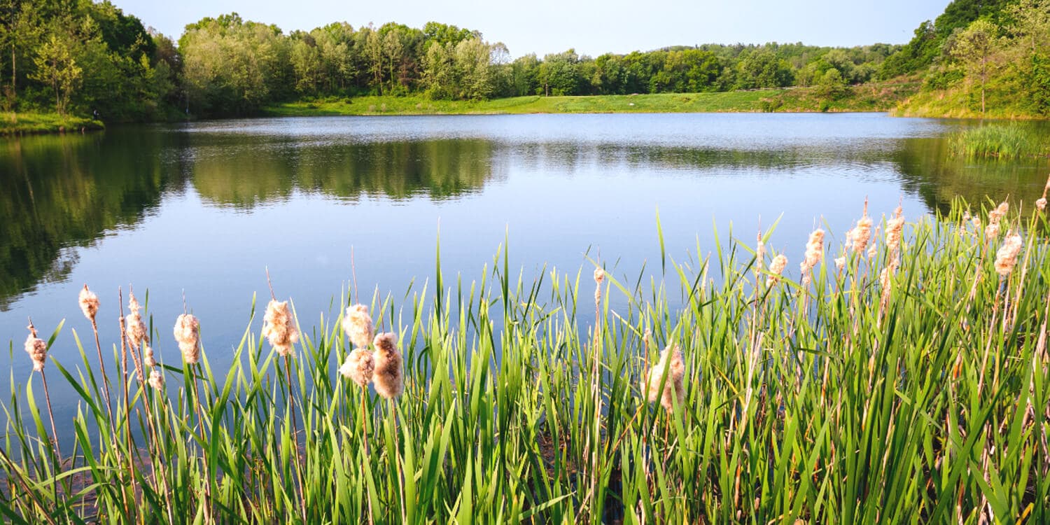 Family Mystery Picnic - Cuyahoga Valley