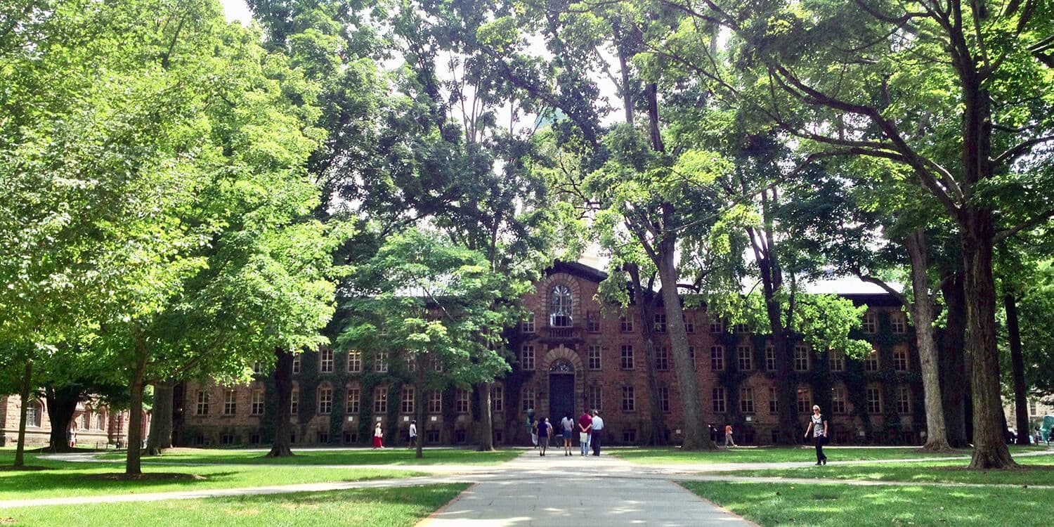 Mystery Picnic With Friends - Princeton