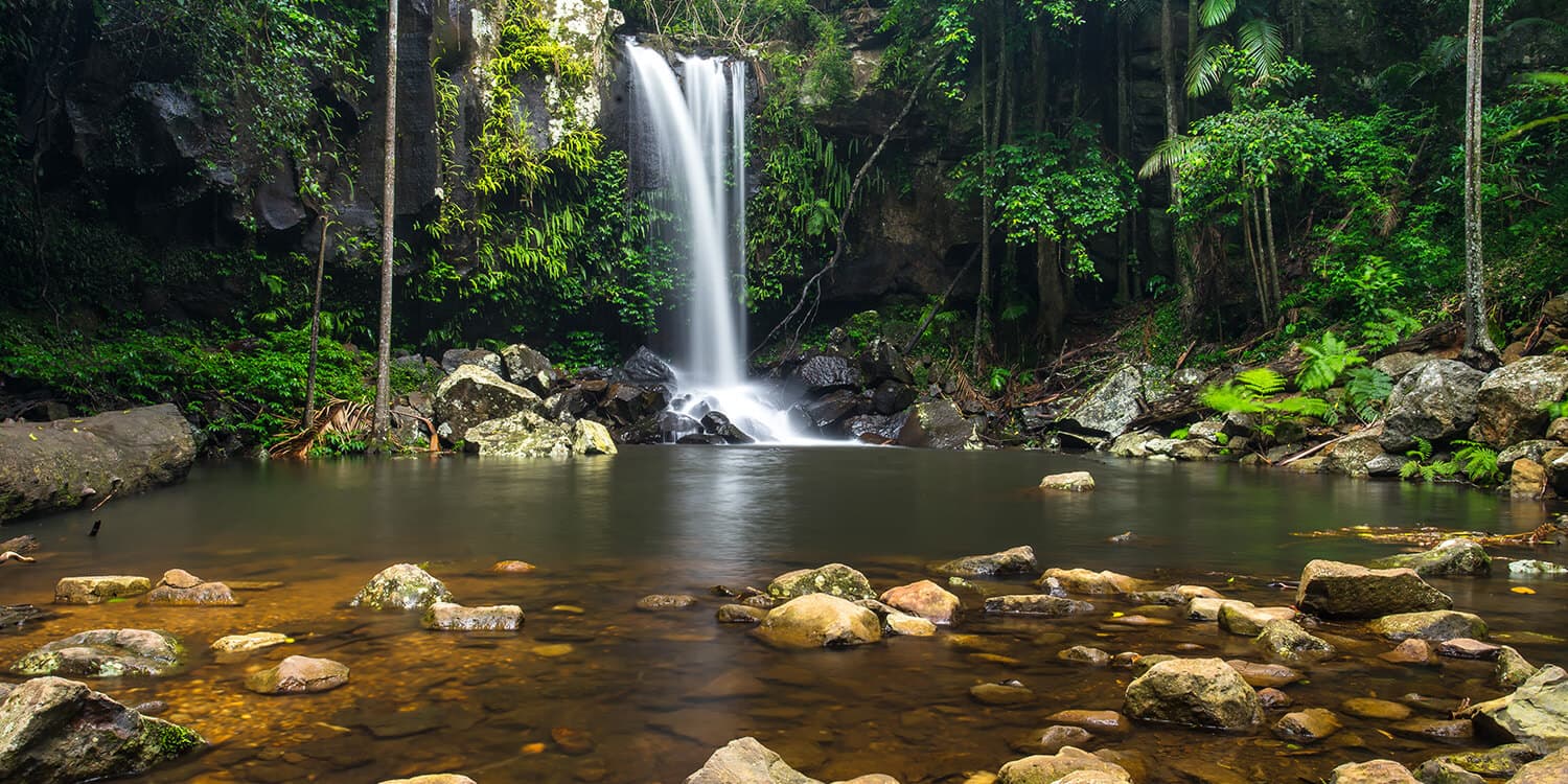 Mystery Picnic - Tamborine Mountain for Guests of Pacific Hotel Brisbane