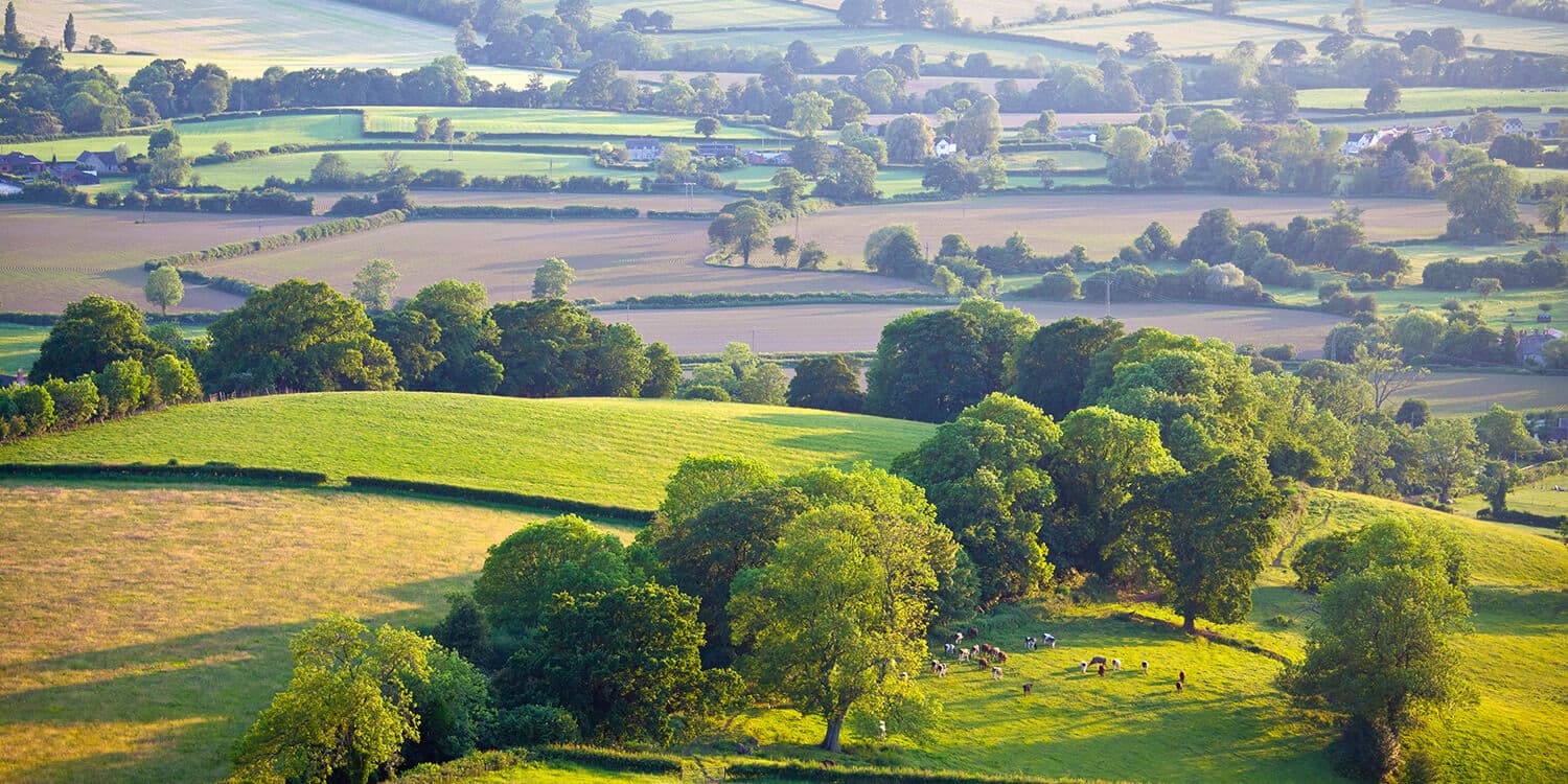 Mystery Picnic Date - The Cotswolds
