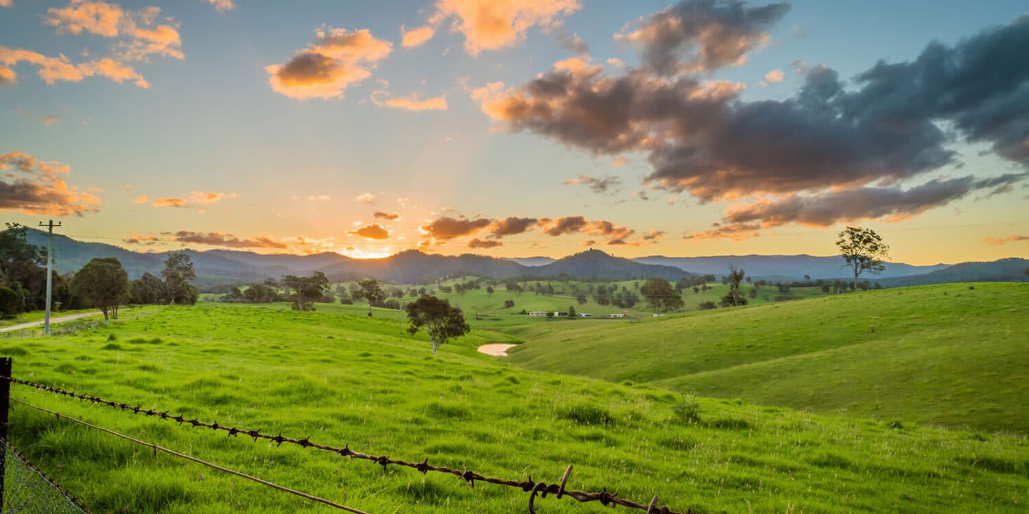 Mystery Picnic With Friends - Yass Valley