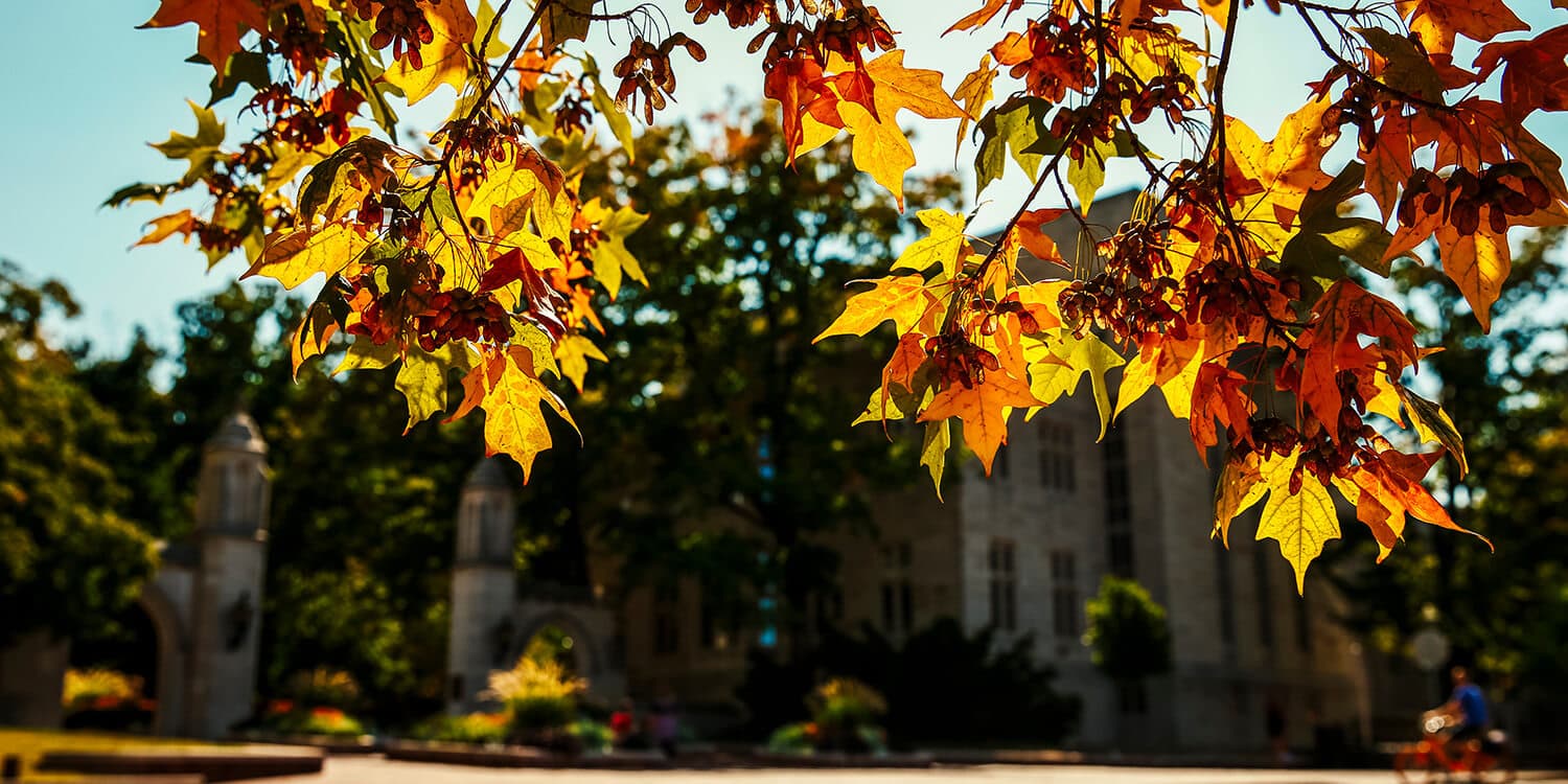 Mystery Picnic Date - Zionsville
